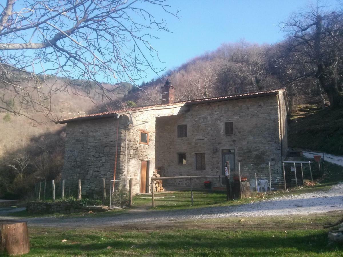 Mimmo'S Holiday House San Godenzo Exterior photo